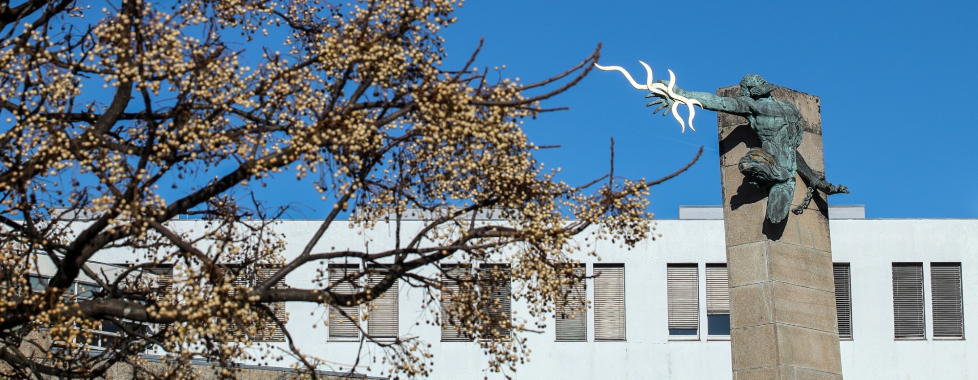 Universidade do Minho