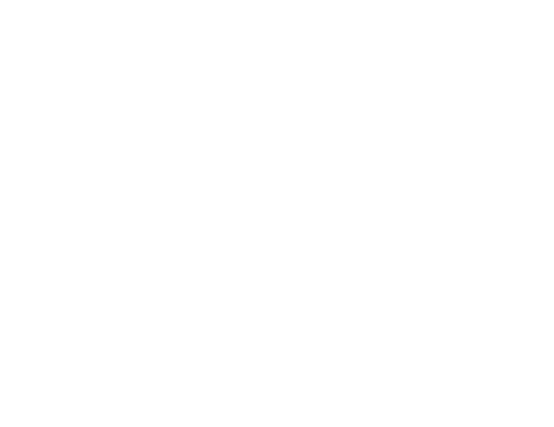 Universidade do Minho